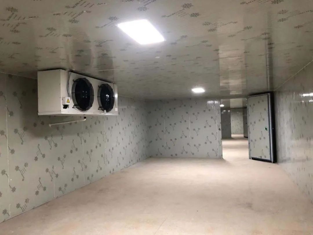 垣曲气调保鲜冷库造价